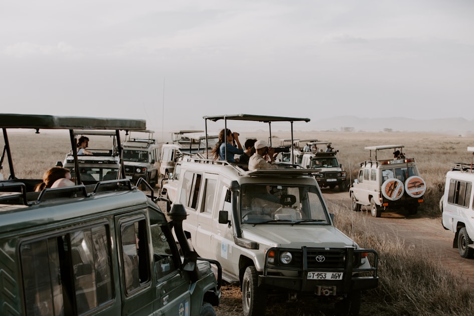 Exploring Tanzania’s Iconic Landscapes